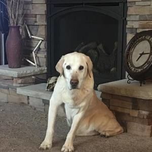 Meet your Posher, Andy